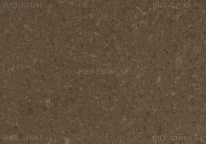 wild rice 4360
